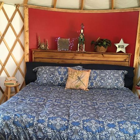 Mountain Springs Cabins Candler Zewnętrze zdjęcie