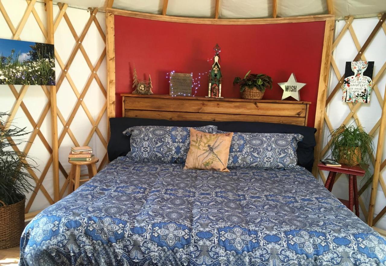 Mountain Springs Cabins Candler Zewnętrze zdjęcie