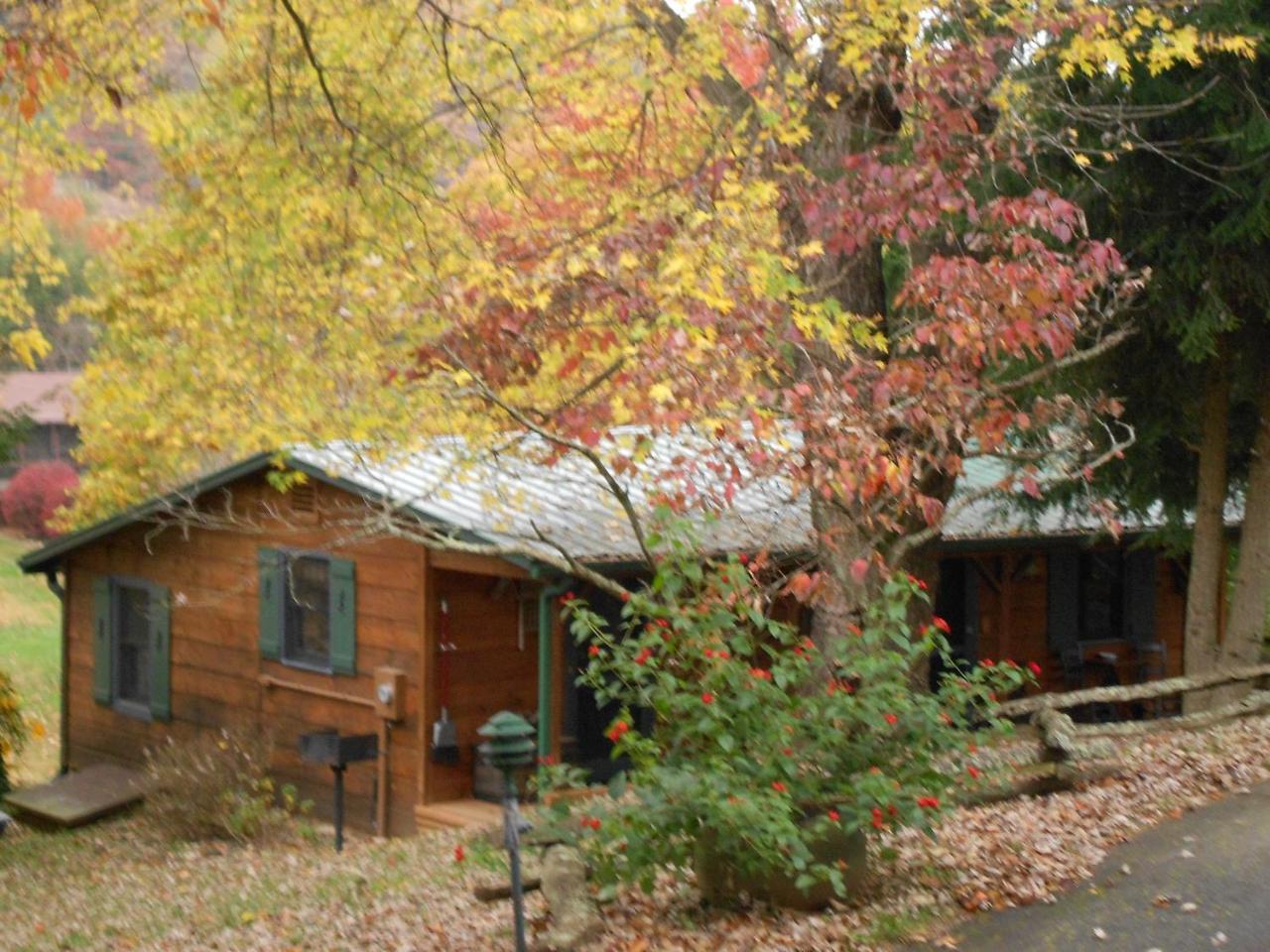 Mountain Springs Cabins Candler Zewnętrze zdjęcie