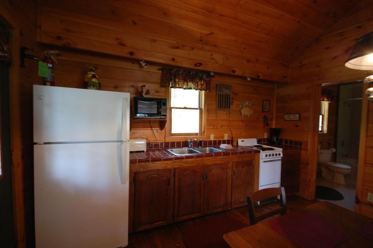Mountain Springs Cabins Candler Zewnętrze zdjęcie
