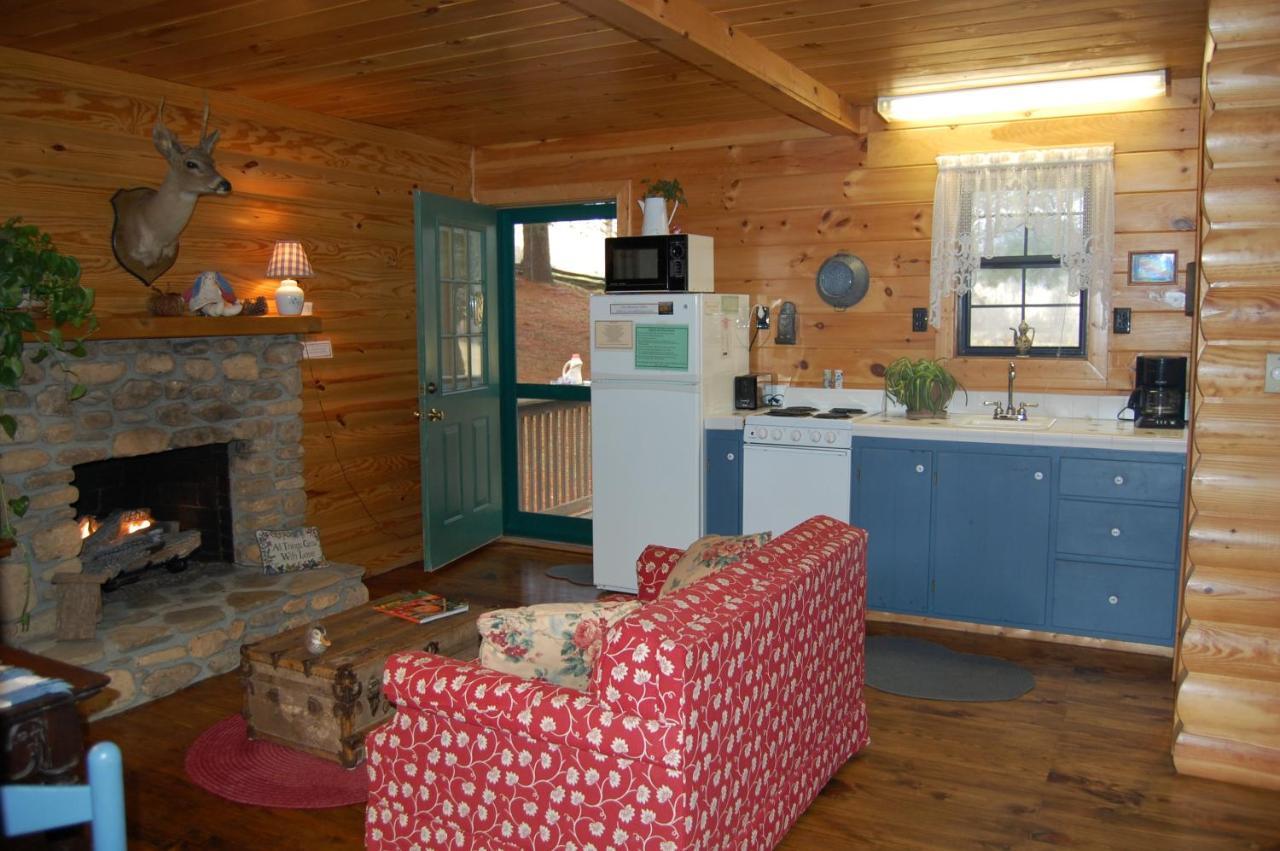 Mountain Springs Cabins Candler Zewnętrze zdjęcie