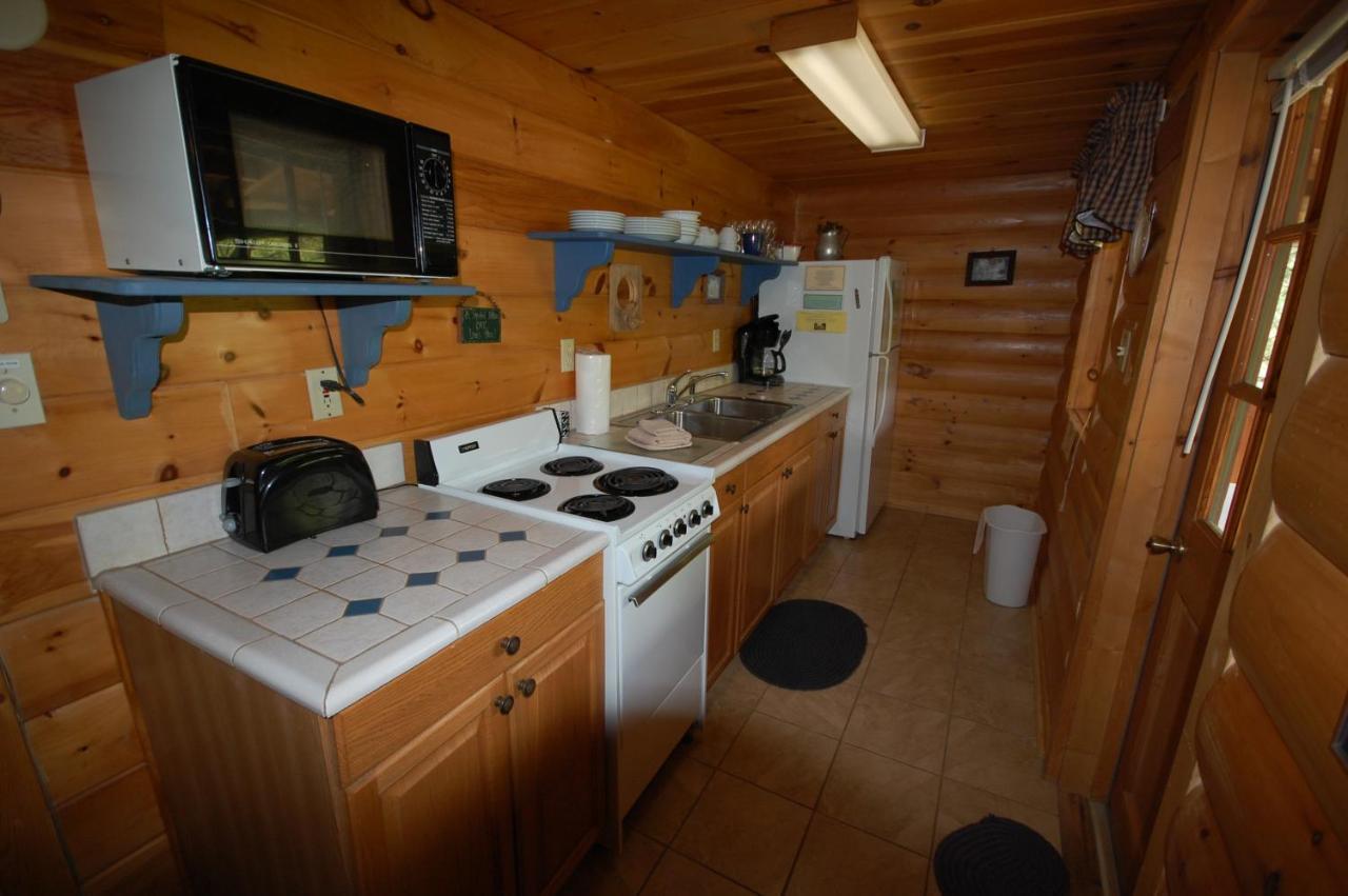 Mountain Springs Cabins Candler Zewnętrze zdjęcie