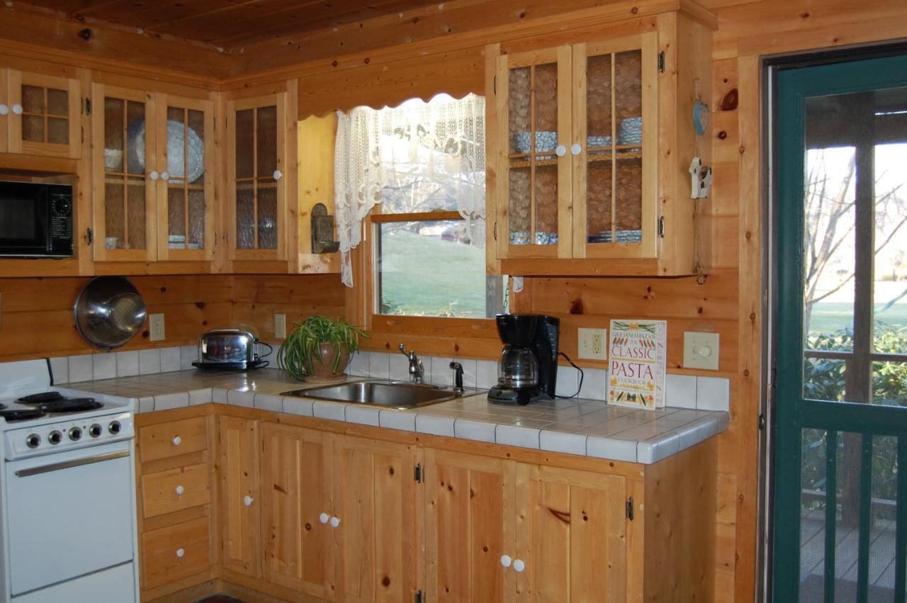 Mountain Springs Cabins Candler Zewnętrze zdjęcie