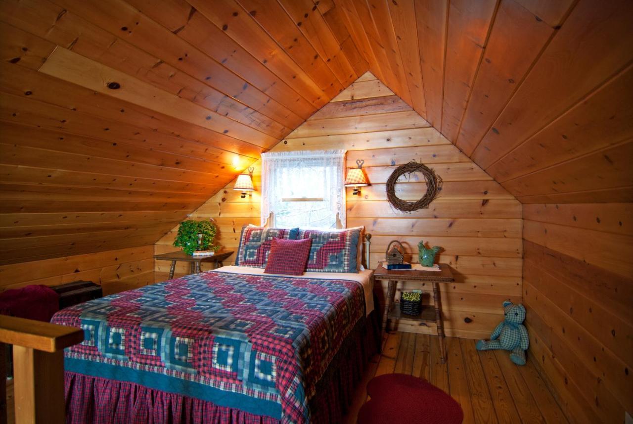 Mountain Springs Cabins Candler Zewnętrze zdjęcie