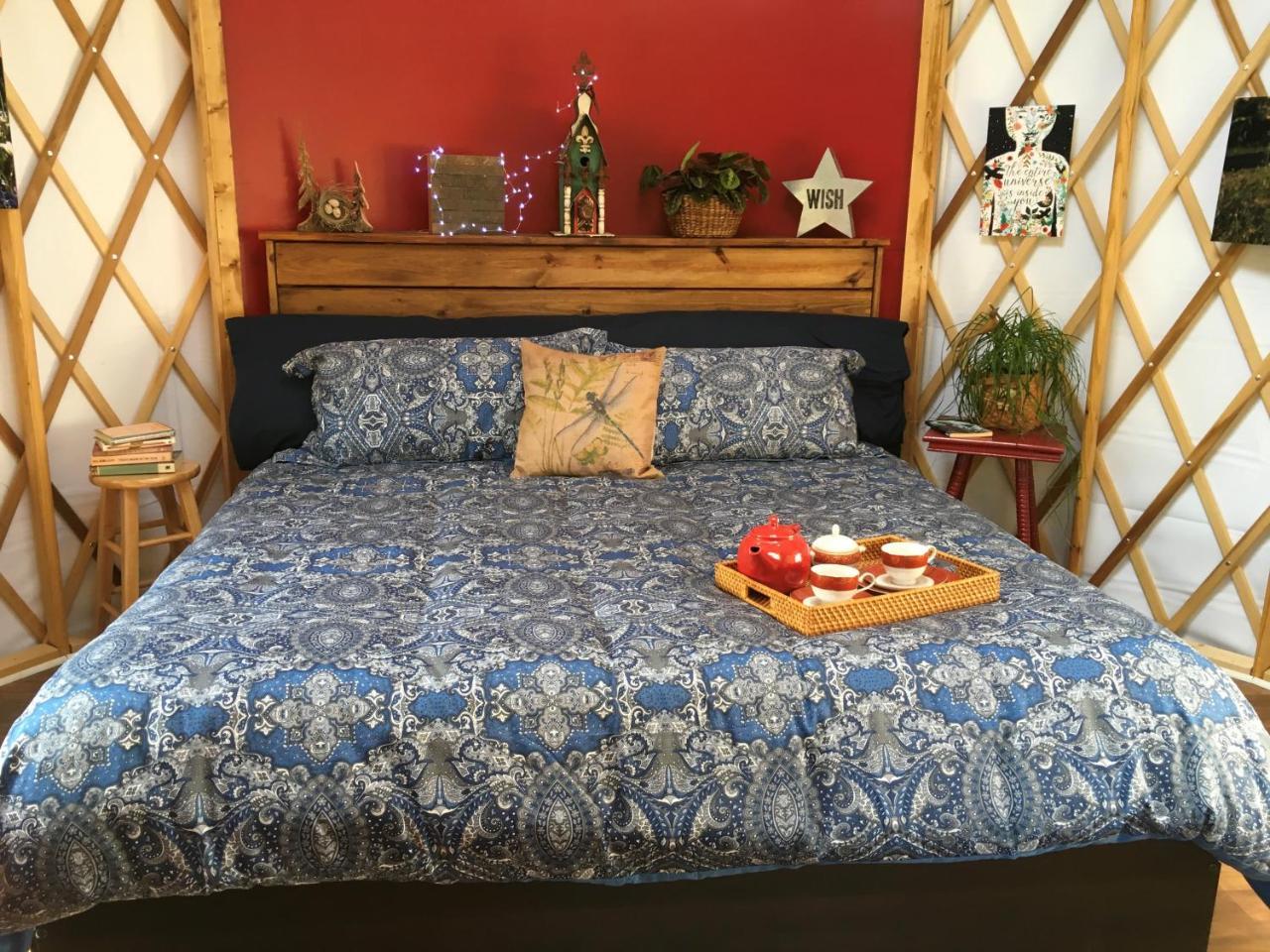 Mountain Springs Cabins Candler Zewnętrze zdjęcie